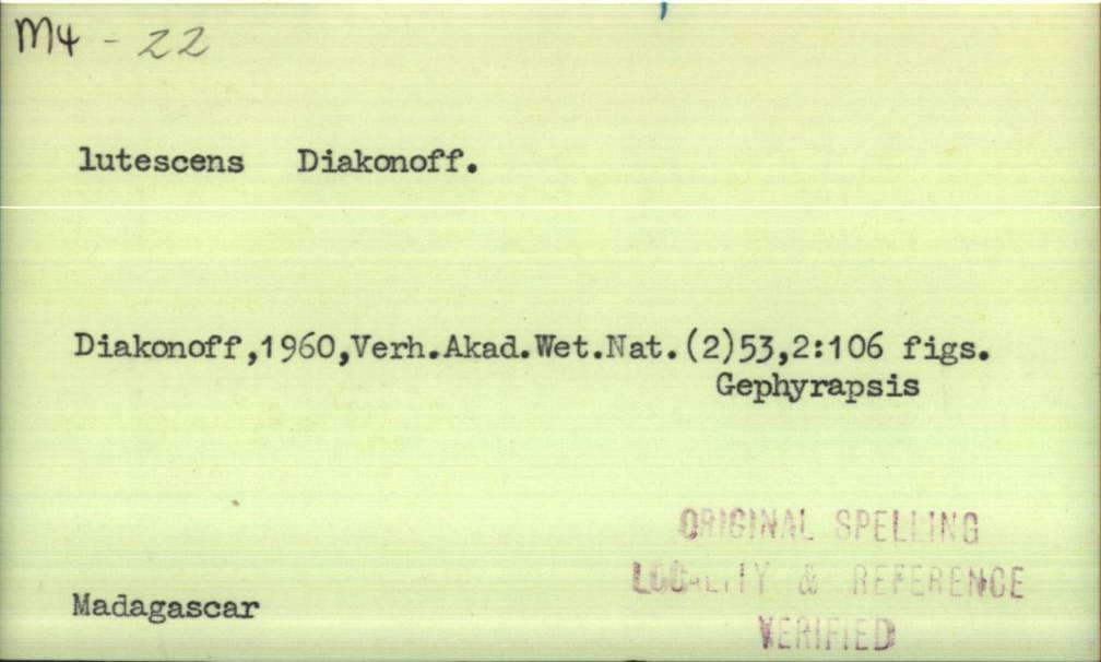 front of card